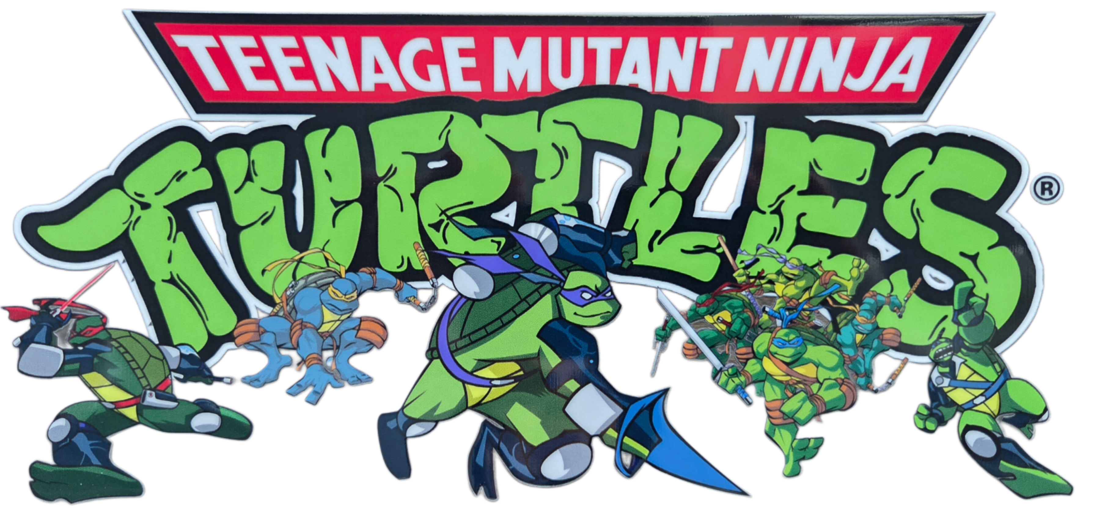 Wraps - Turtles