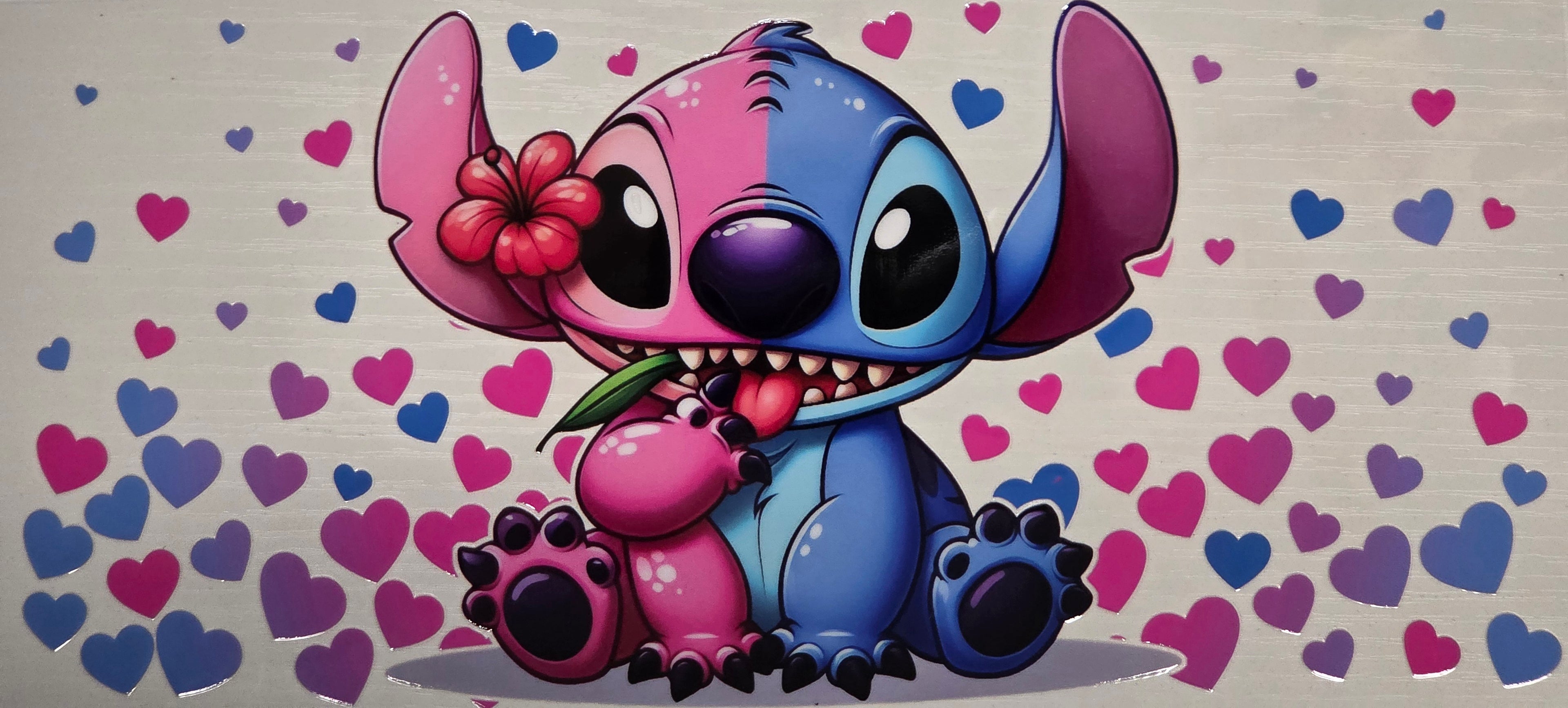 Pink & Blue Stitch