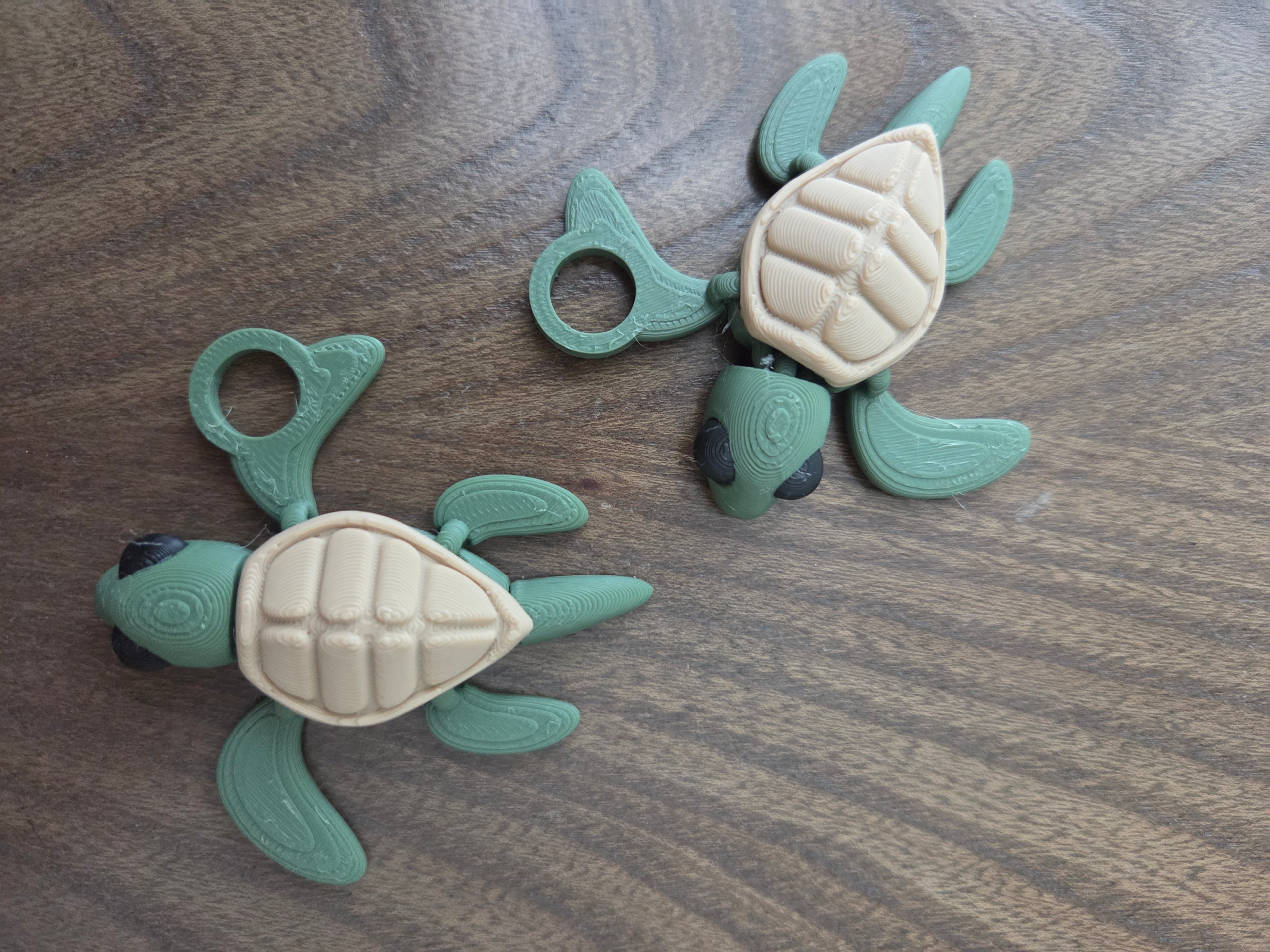 3D Moveable Turtle