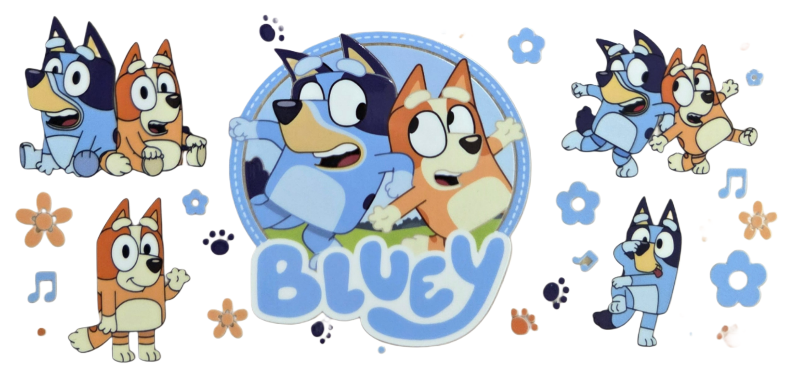 Bluey and Bingo