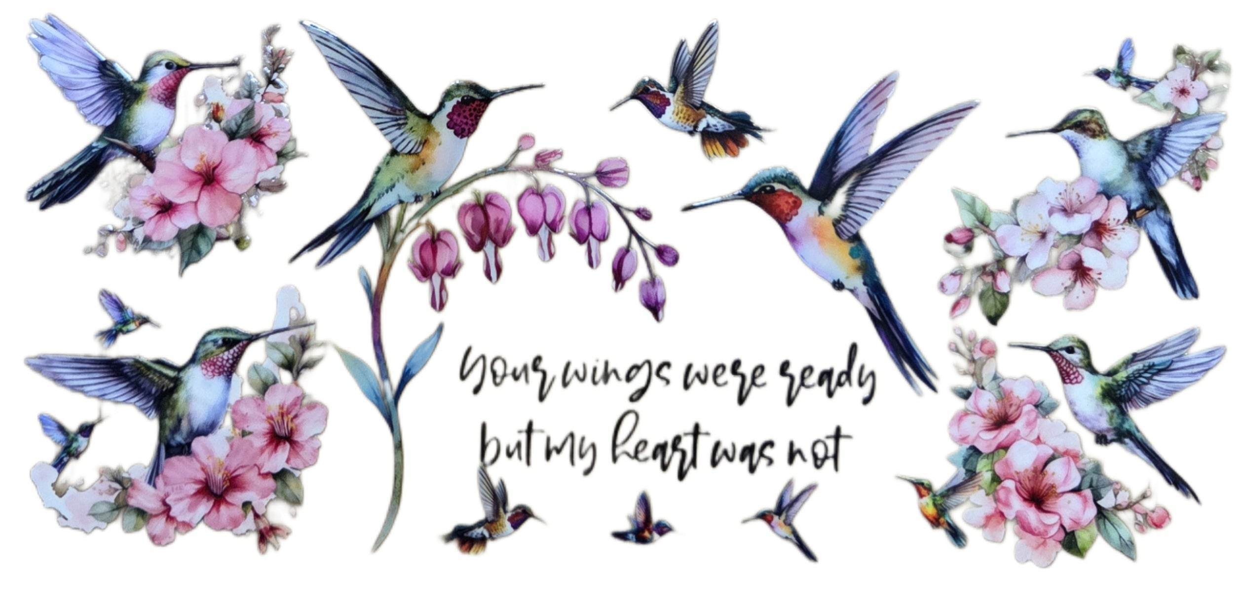 Humming Birds