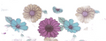 Colorful Daisy's