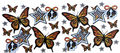 Butterflies & Skulls