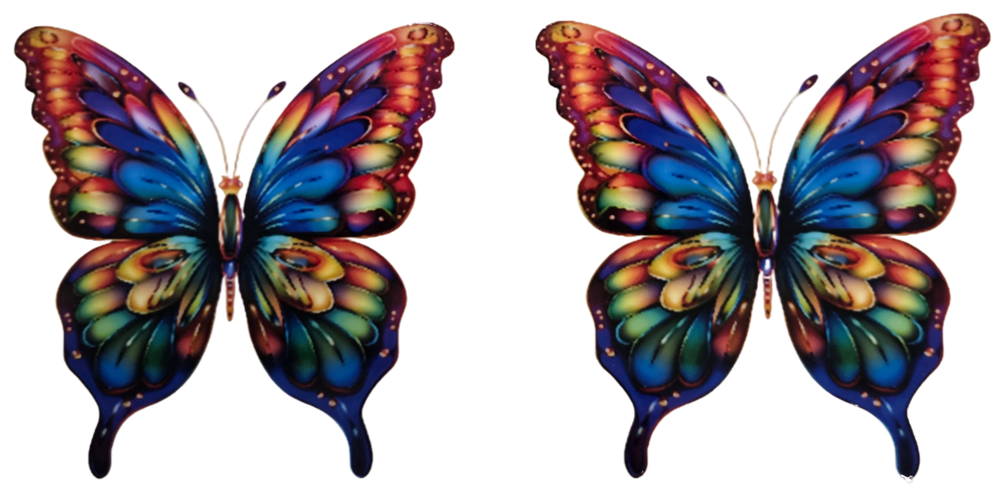Vivid Butterflies