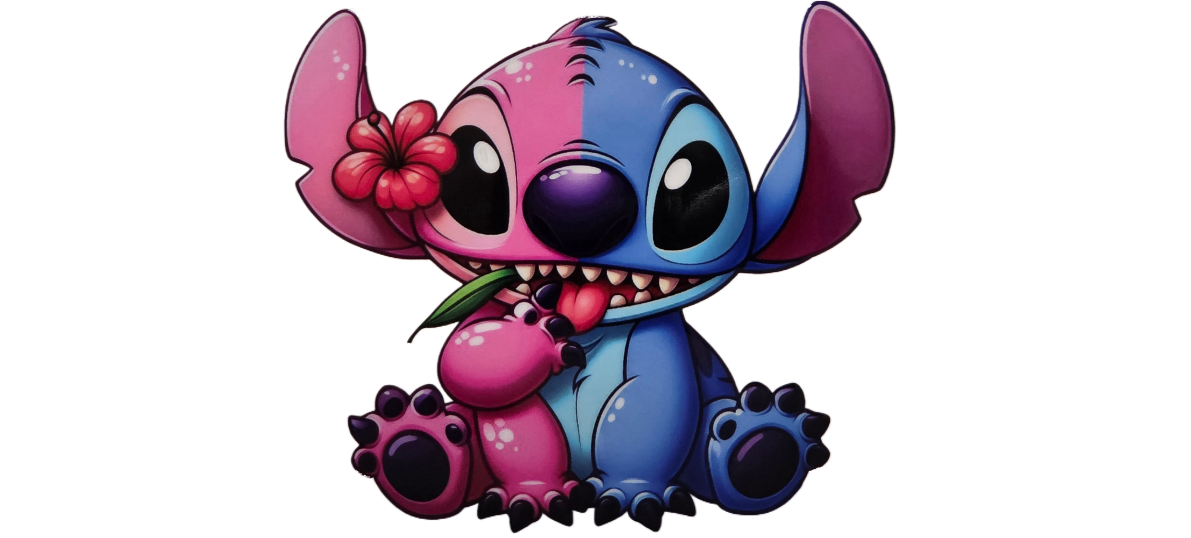 Pink & Blue Stitch