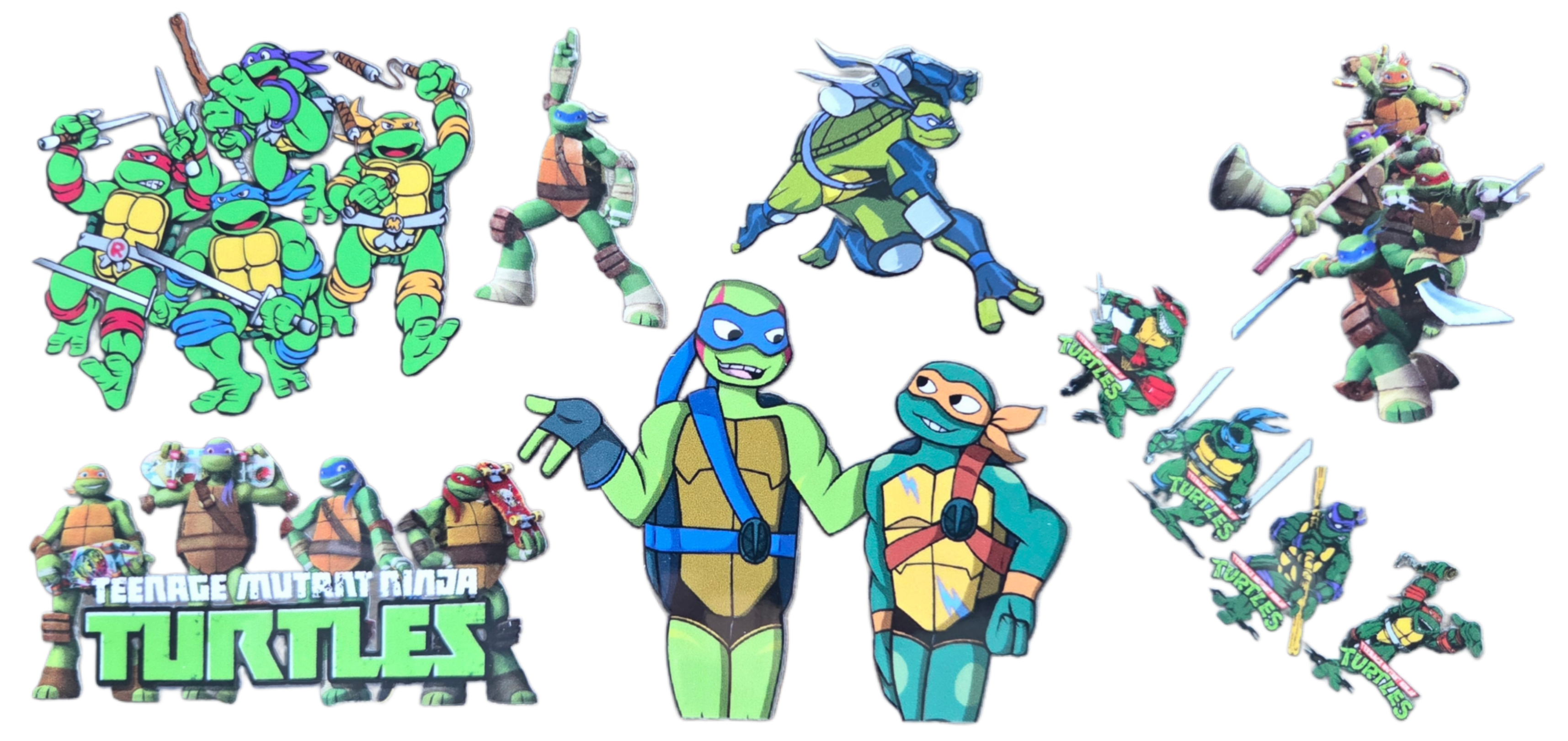 TMNT Cartoon 1