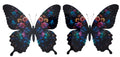 Vibrant Butterfly