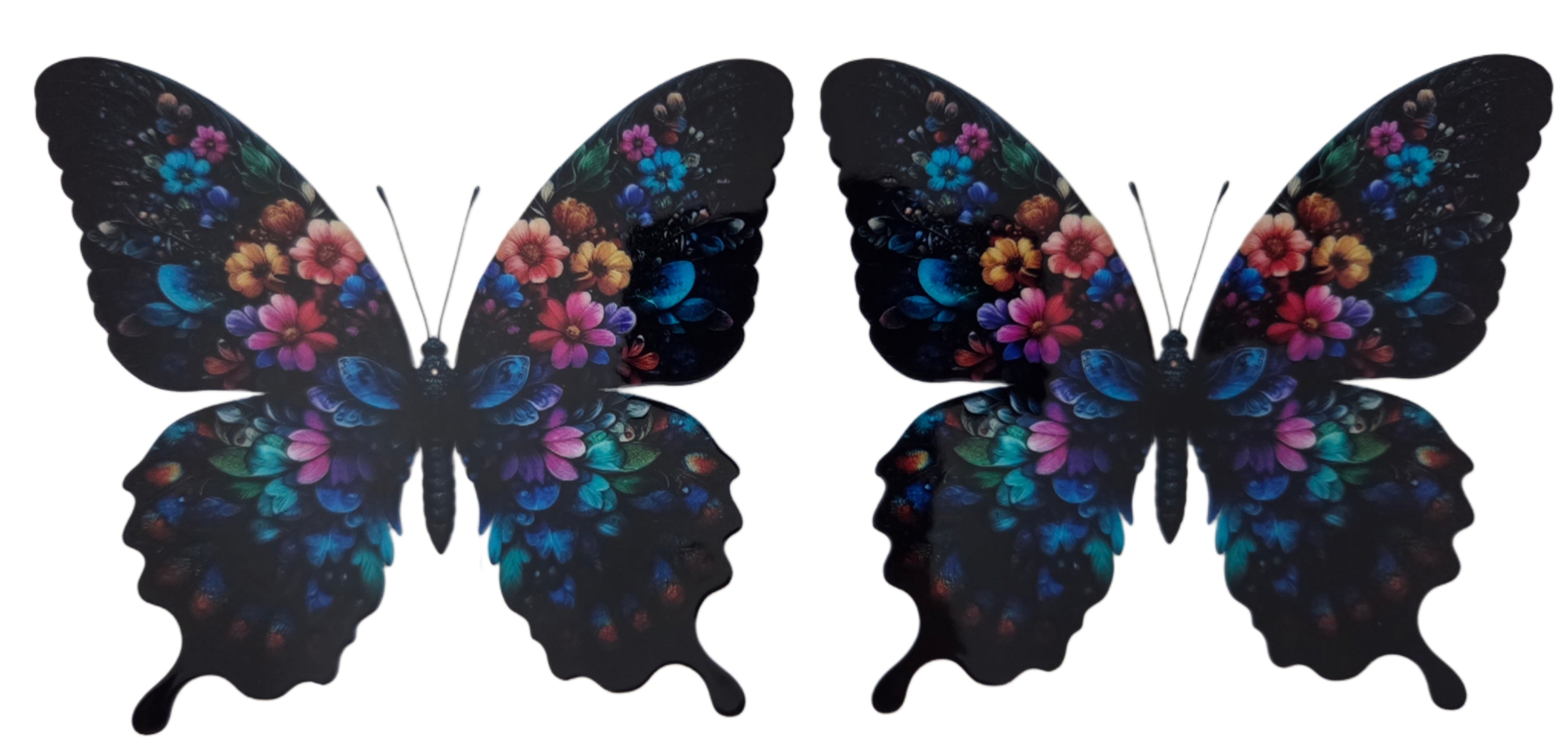Vibrant Butterfly